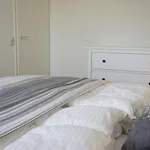 Buitenplaats De Luxe